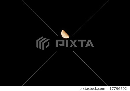 月亮月亮 17796892