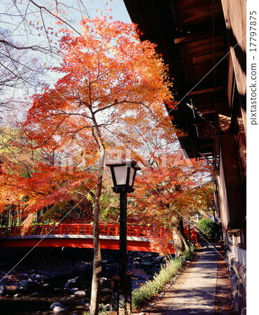 Autumn Shuzenji Onsen 17797875