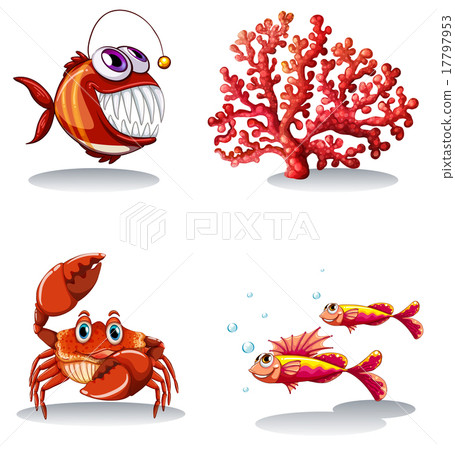 Sea animals and coral reef 17797953