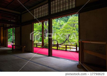 京都Mansyuin怪物新鮮的綠色 17798620