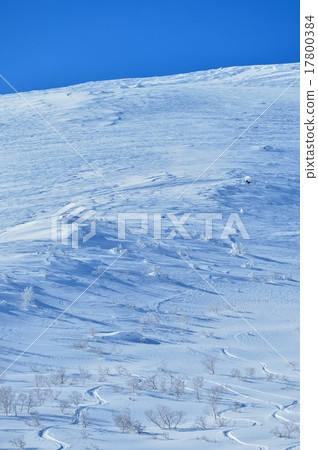 Niseko snow scene spree Niseko snow scene spree 17800384
