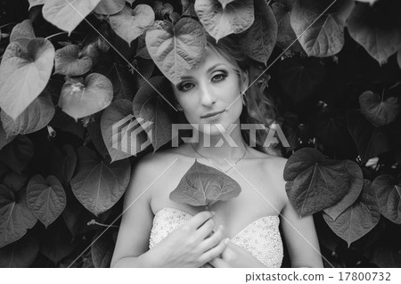 Wedding couple in love Wedding couple in love 17800732