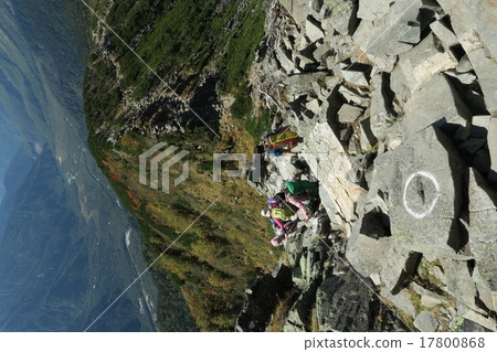 Nishiho體操 17800868