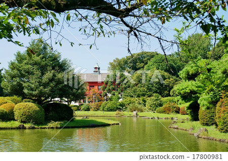 小石川植物園 17800981