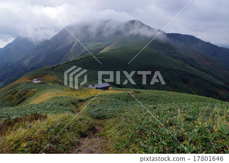 艾蒿通行證 艾蒿通行證 17801646