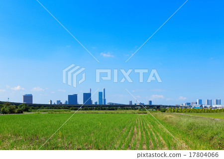 Saitama Shintoshin downtown where autumn blue sky spreads Saitama Shintoshin downtown where autumn blue sky spreads 17804066