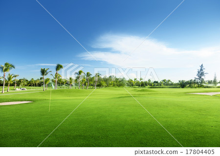 golf course golf course 17804405