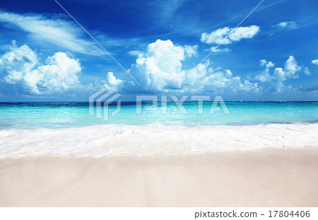 sand of beach caribbean sea 17804406