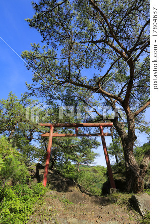 Akaike Benzaiiten 17804637