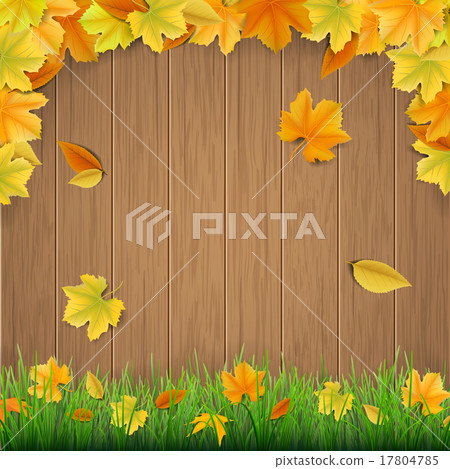 Autumn leaves wooden boards  and green grass 17804785