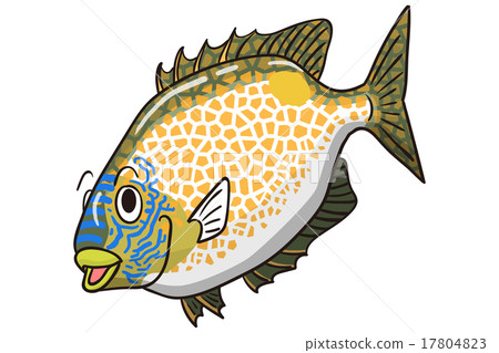 Gomaaigo Gomaaigo 17804823