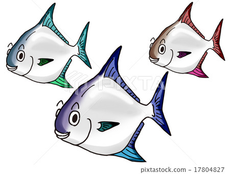 Colorful fish Colorful fish 17804827