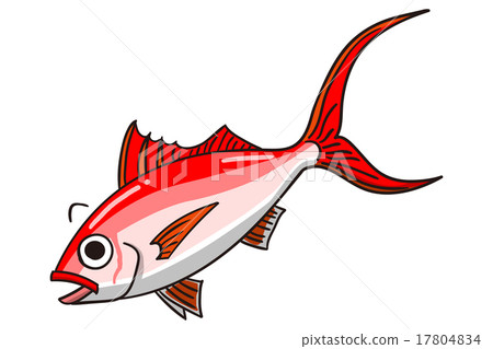 絲尾紅鑽魚 絲尾紅鑽魚 17804834