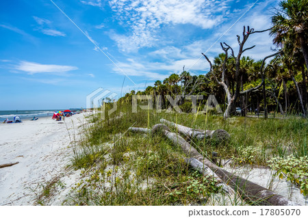 nature scenes around hunting island south carolina 17805070