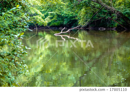 broad river water flow through blue ridge mountain 17805110