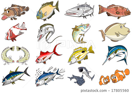 Fish illustration Fish illustration 17805560