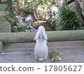 兔子和烏龜在Kamakura Akatsukuin後面 17805627