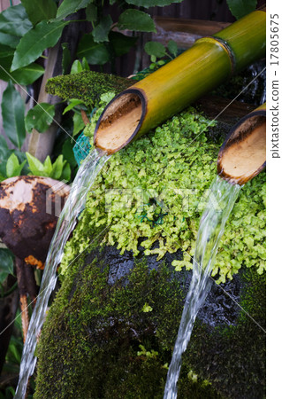 Chozu Chozu 17805675