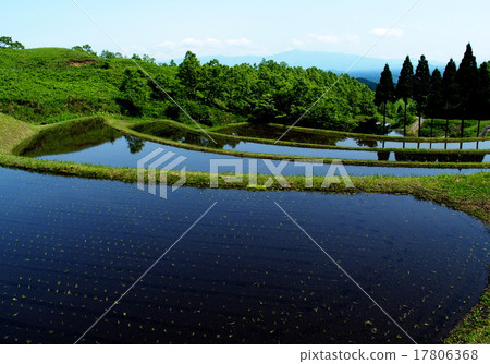 扇米飯露台 17806368