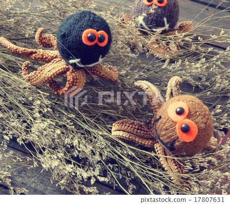 Halloween background, handmade, pumpkin, spider Halloween background, handmade, pumpkin, spider 17807631