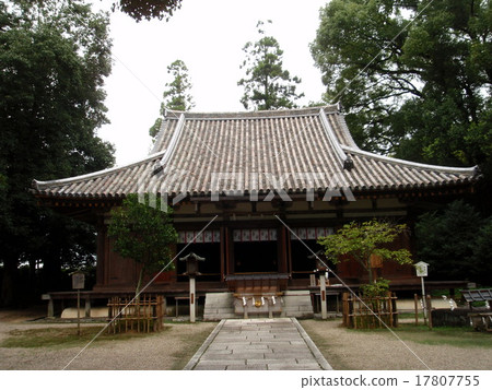 Shrine Shrine 17807755