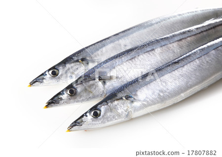 Raw saury 17807882