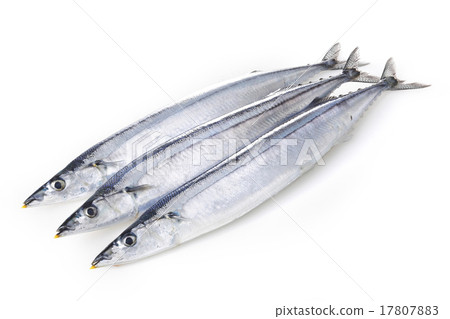 生秋刀魚 17807883