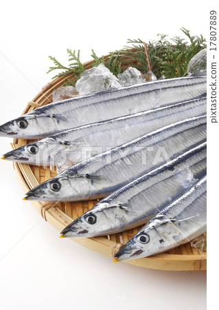 Raw saury 17807889