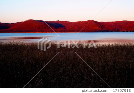 Takema-numa 17807918