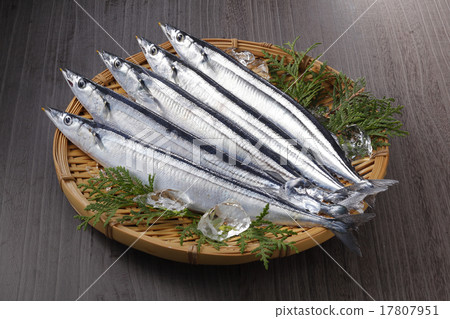 Raw saury 17807951