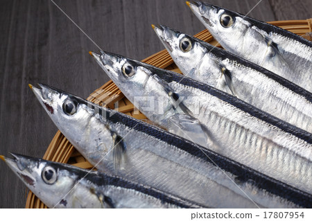 生秋刀魚 17807954