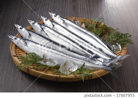 生秋刀魚 17807955