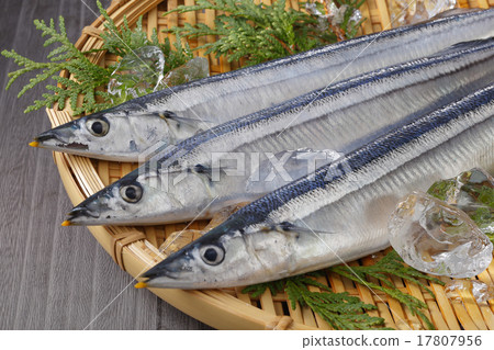 生秋刀魚 17807956