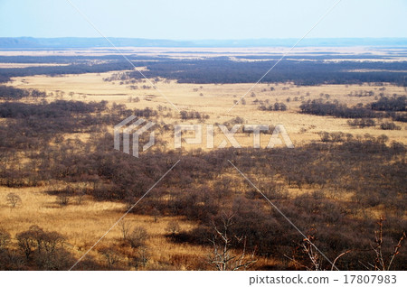 衛星觀測平台 衛星觀測平台 17807983