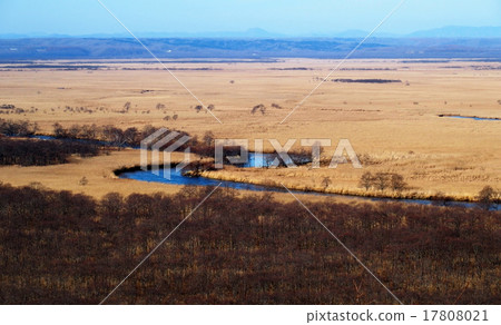 細田天文台 17808021