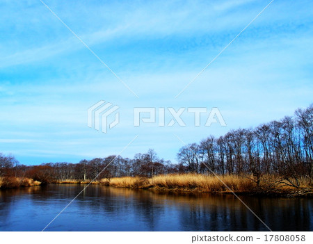 Kushiro Marsh 17808058