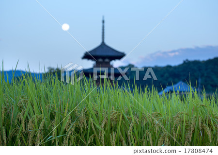 A fruitful rainbow and Legend temples triple tower 17808474