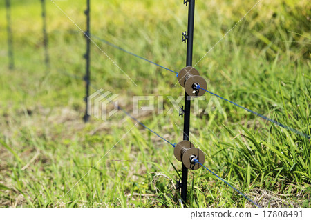Electric fence for veterinary prevention 17808491