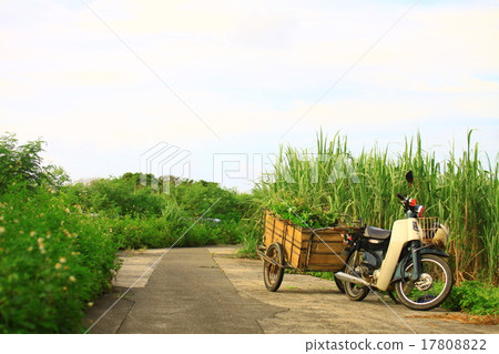 Scenery and motorcycle of Kikai Island 17808822