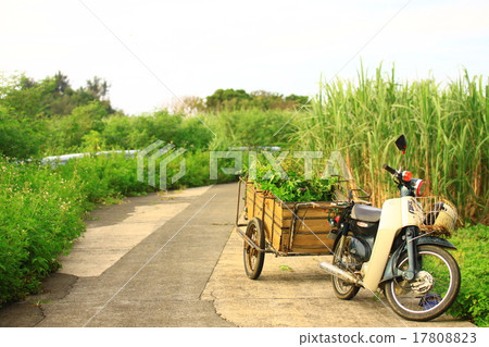 Scenery and motorcycle of Kikai Island Scenery and motorcycle of Kikai Island 17808823
