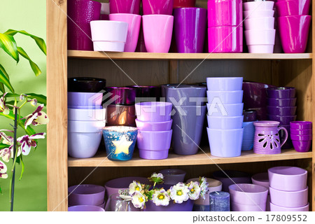 flowerpots in a shelf in a market flowerpots in a shelf in a market 17809552