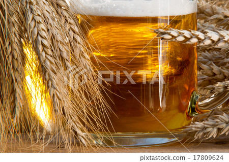beer glass and raw material for beer production beer glass and raw material for beer production 17809624