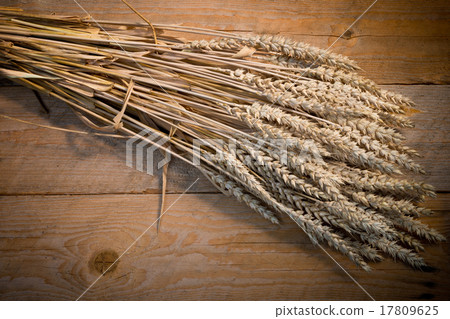 sheaf of wheat 17809625