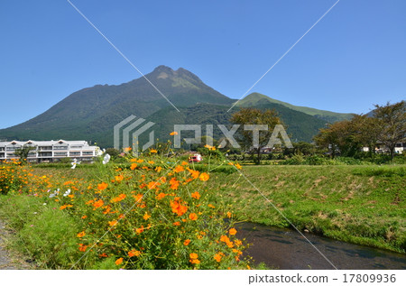 Yufudake in autumn 17809936