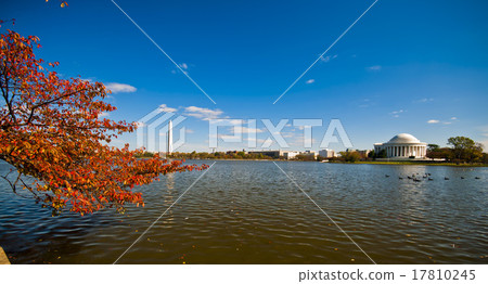 Jefferson Memorial and the Tidal Basin 17810245