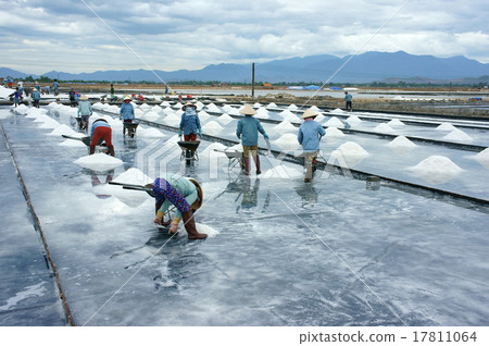 Asia worker, salt marsh, working 17811064