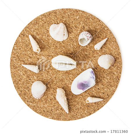 Beautiful seashells on the circular cork base 17811360