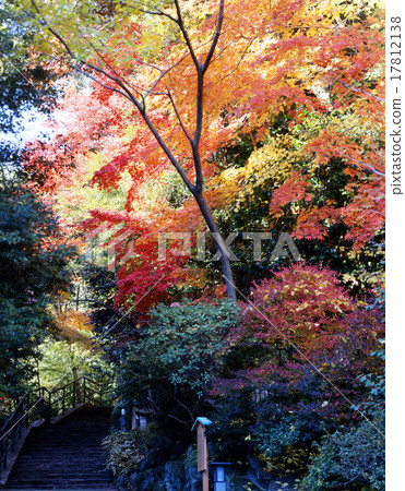 Autumn's Manyo Park Autumn's Manyo Park 17812138