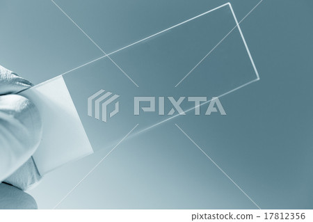 microscope slide in hand microscope slide in hand 17812356