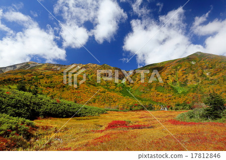 從高山Tsugaike自然公園的北海道北部的Hakuba Norikura沙丘觀看 17812846